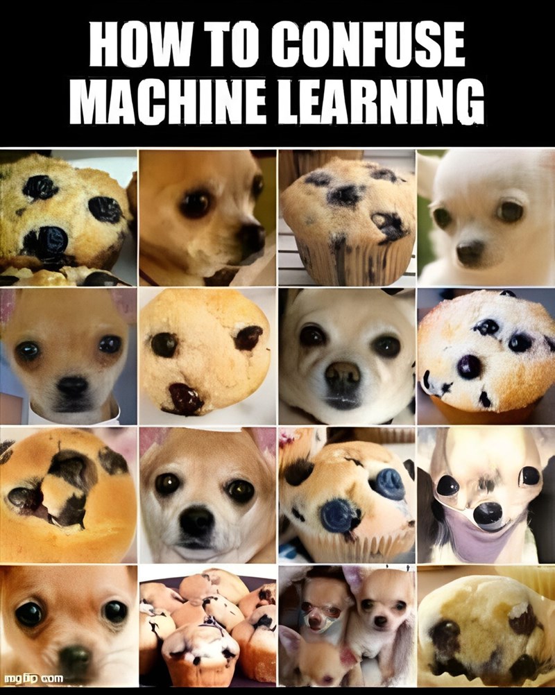 mgbp com HOW TO CONFUSE MACHINE LEARNING