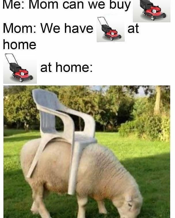 Me: Mom can we buy Mom: We have at home at home: