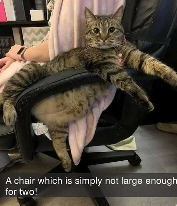 A chair which is simply not large enough for two!