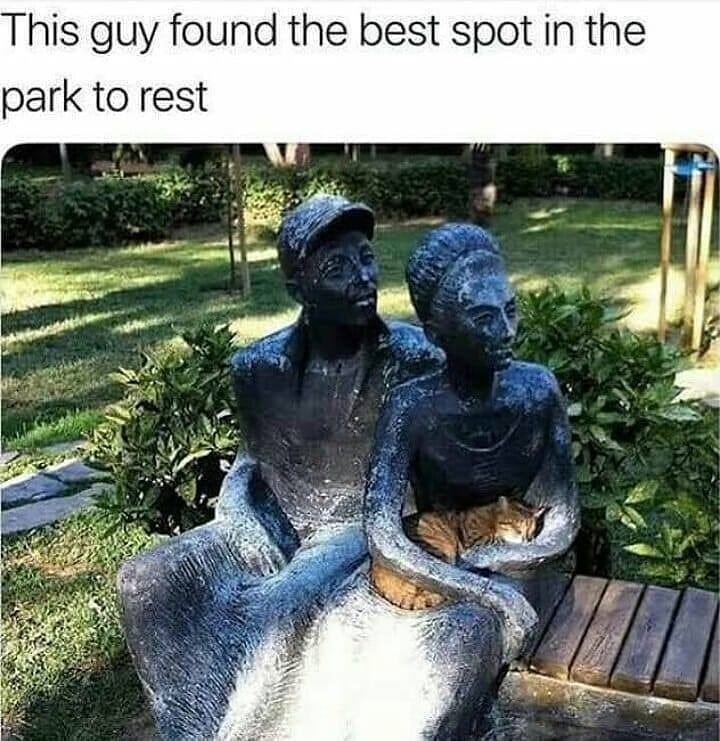 This guy found the best spot in the park to rest