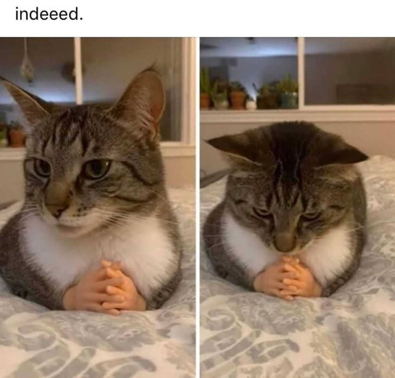 indeeed.