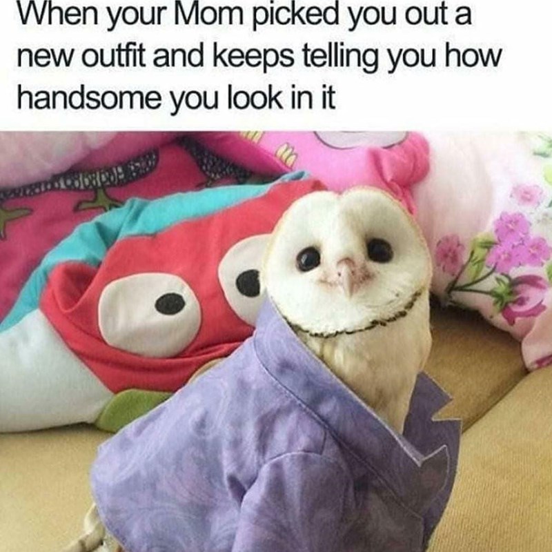 When your Mom picked you out a new outfit and keeps telling you how handsome you look in it