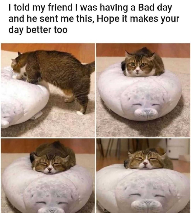 I told my friend I was having a Bad day and he sent me this, Hope it makes your day better too