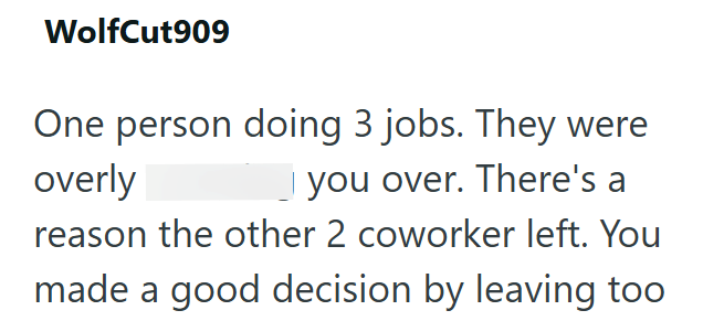 WolfCut909 One person doing 3 jobs. They were overly you over. There's a reason the other 2 coworker left. You made a good decision by leaving too