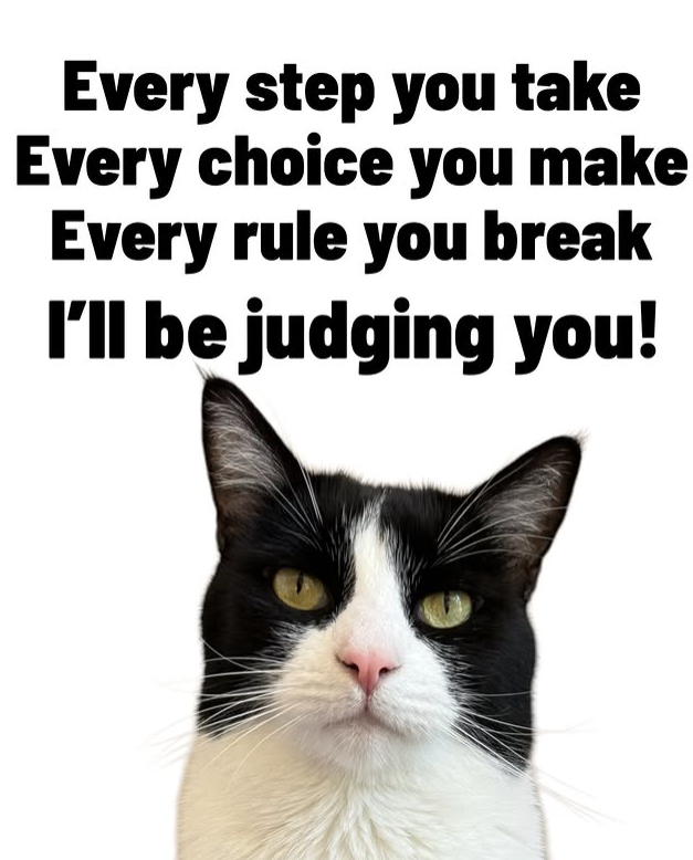 Every step you take Every choice you make Every rule you break I'll be judging you!
