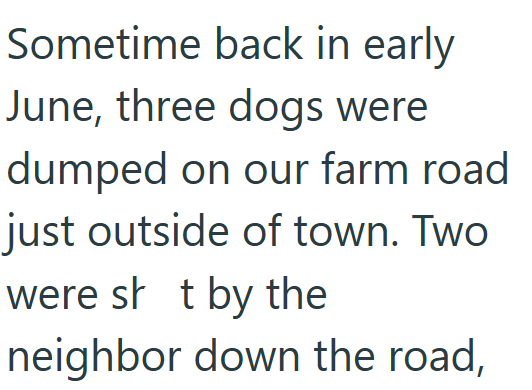 Sometime back in early June, three dogs were dumped on our farm road just outside of town. Two were shot by the neighbor down the road,