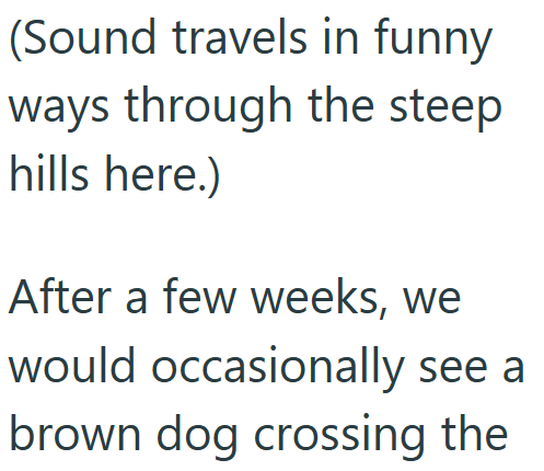 (Sound travels in funny ways through the steep hills here.) After a few weeks, we would occasionally see a brown dog crossing the