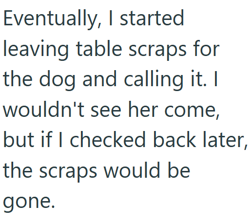 Eventually, I started leaving table scraps for the dog and calling it. I wouldn't see her come, but if I checked back later, the scraps would be gone.
