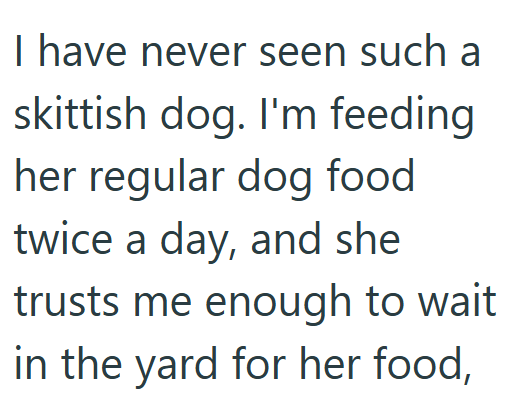 I have never seen such a skittish dog. I'm feeding her regular dog food twice a day, and she trusts me enough to wait in the yard for her food,