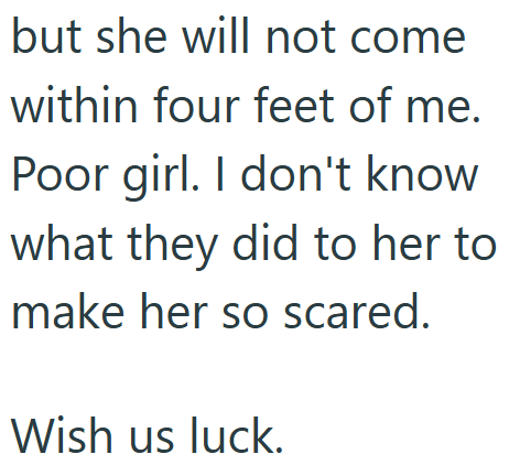 but she will not come within four feet of me. Poor girl. I don't know what they did to her to make her so scared. Wish us luck.