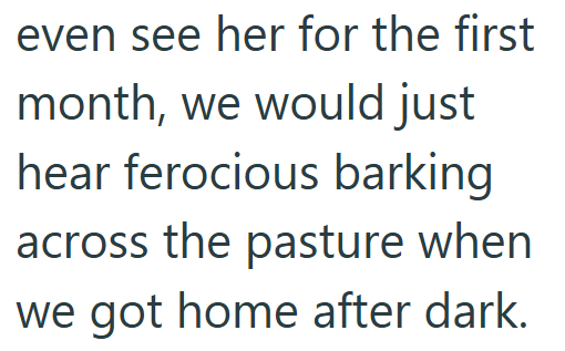 even see her for the first month, we would just hear ferocious barking across the pasture when we got home after dark.