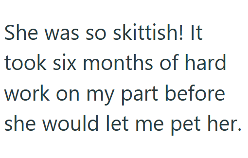 She was so skittish! It took six months of hard work on my part before she would let me pet her.