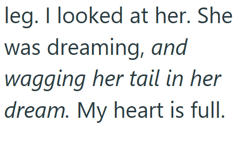 leg. I looked at her. She was dreaming, and wagging her tail in her dream. My heart is full.