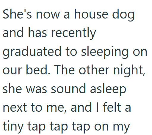 She's now a house dog and has recently graduated to sleeping on our bed. The other night, she was sound asleep next to me, and I felt a tiny tap tap tap on my