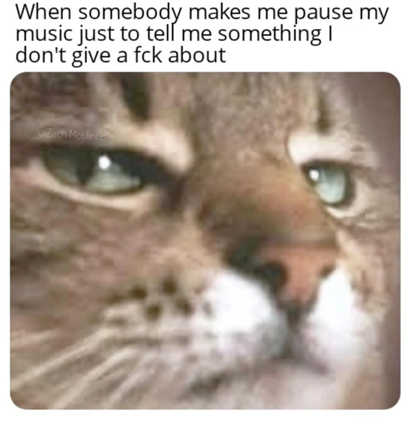 When somebody makes me pause my music just to tell me something I don't give a fck about Zach Mcclintic