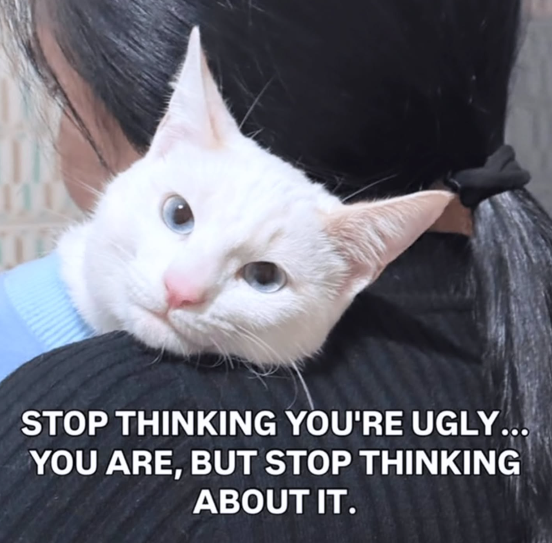 11 STOP THINKING YOU'RE UGLY... YOU ARE, BUT STOP THINKING ABOUT IT.