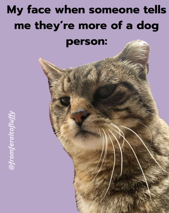 @fromferaltofluffy My face when someone tells me they're more of a dog person: