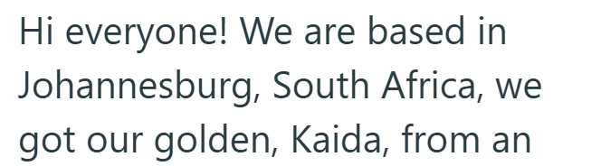 Hi everyone! We are based in Johannesburg, South Africa, we got our golden, Kaida, from an