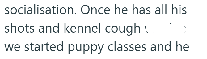 socialisation. Once he has all his shots and kennel cough we started puppy classes and he