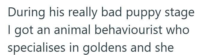 During his really bad puppy stage I got an animal behaviourist who specialises in goldens and she