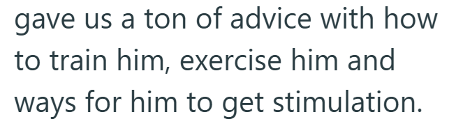 gave us a ton of advice with how to train him, exercise him and ways for him to get stimulation.