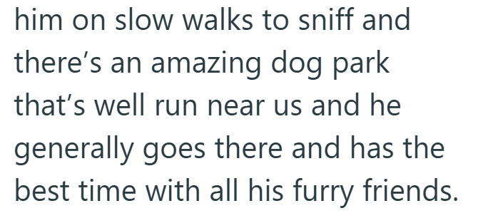 him on slow walks to sniff and there's an amazing dog park that's well run near us and he generally goes there and has the best time with all his furry friends.