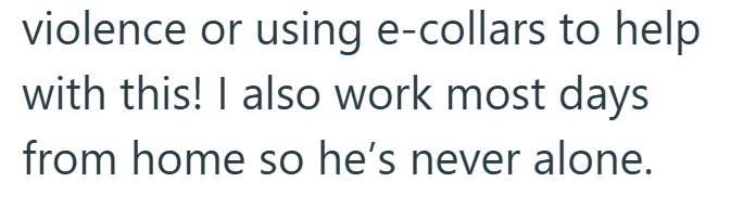 violence or using e-collars to help with this! I also work most days from home so he's never alone.