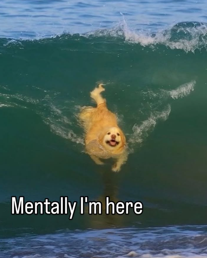 Mentally I'm here