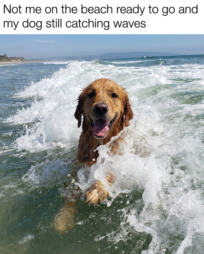 Not me on the beach ready to go and my dog still catching waves