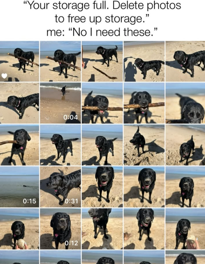 "Your storage full. Delete photos to free up storage." me: "No I need these." 0:15 0:04 0:31 0:12