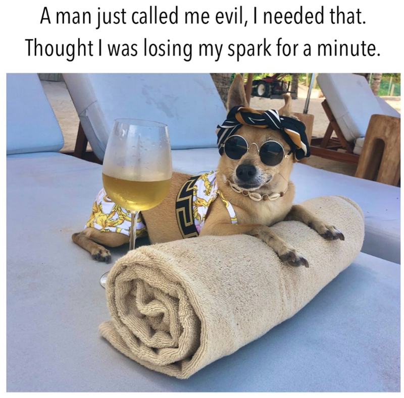 A man just called me evil, I needed that. Thought I was losing my spark for a minute.