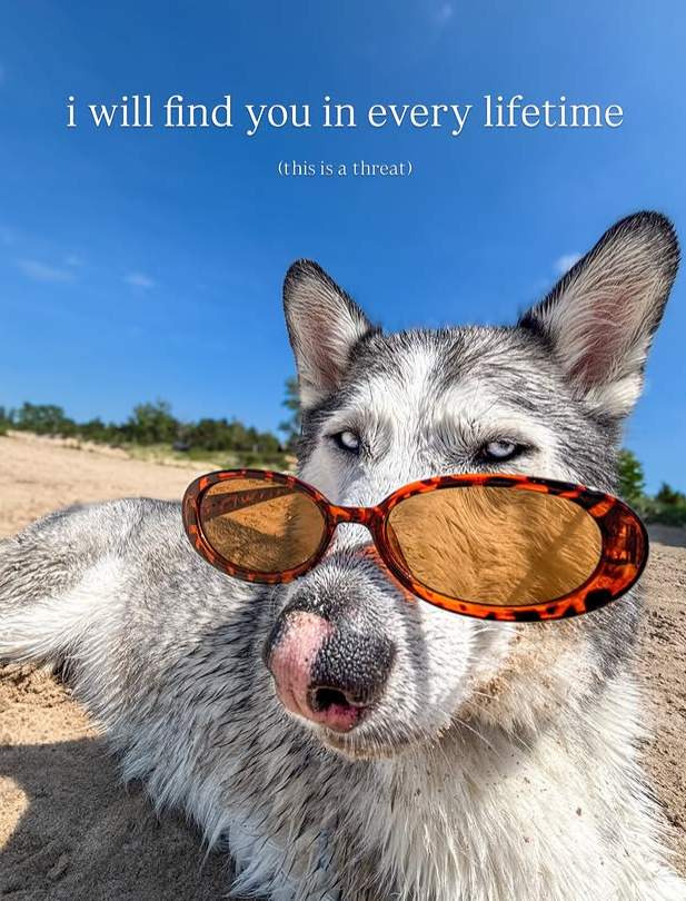 i will find you in every lifetime (this is a threat)