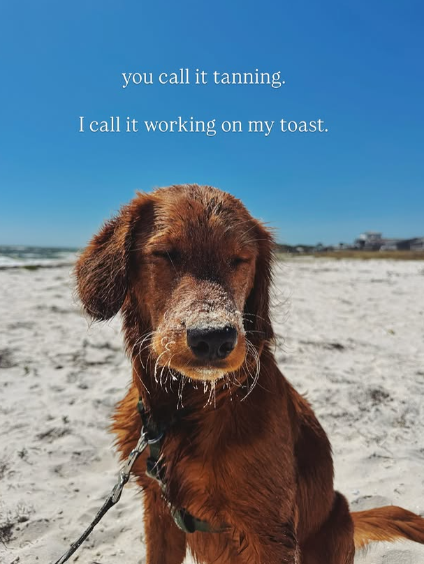 you call it tanning. I call it working on my toast.
