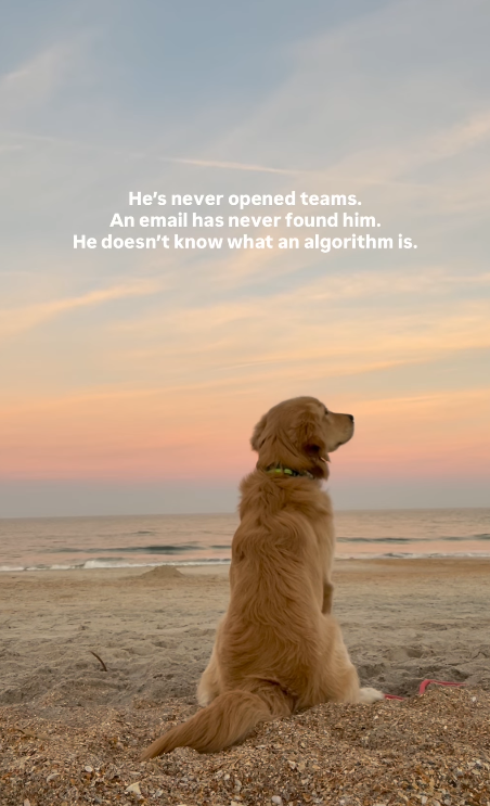 He's never opened teams. An email has never found him. He doesn't know what an algorithm is.