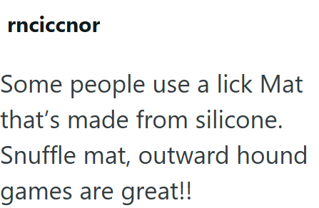 rnciccnor Some people use a lick Mat that's made from silicone. Snuffle mat, outward hound games are great!!