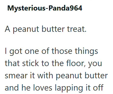 Mysterious-Panda964 A peanut butter treat. I got one of those things that stick to the floor, you smear it with peanut butter and he loves lapping it off
