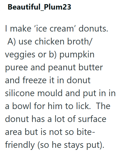 Beautiful Plum23 I make 'ice cream' donuts. A) use chicken broth/ veggies or b) pumpkin puree and peanut butter and freeze it in donut silicone mould and put in in a bowl for him to lick. The donut has a lot of surface area but is not so bite- friendly (so he stays put).