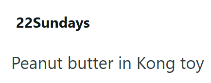22Sundays Peanut butter in Kong toy