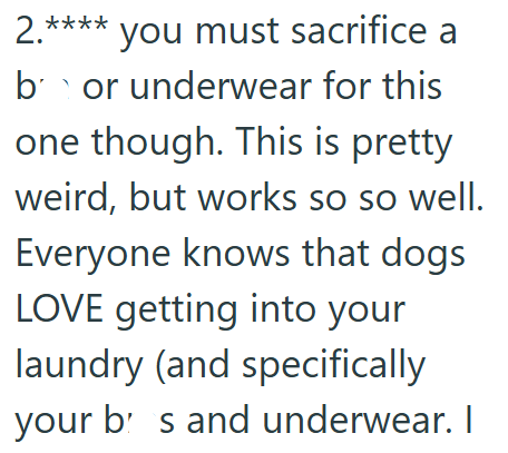 2.**** you must sacrifice a b or underwear for this one though. This is pretty weird, but works so so well. Everyone knows that dogs LOVE getting into your laundry (and specifically your bs and underwear. I