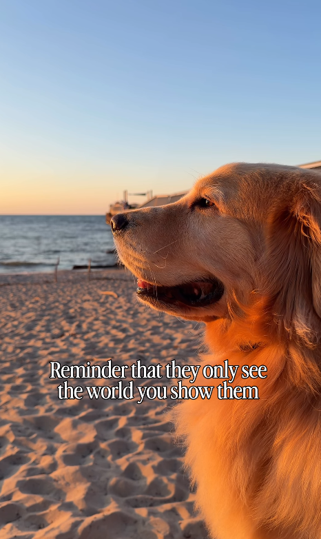 Reminder that they only see the world you show them
