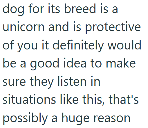 dog for its breed is a unicorn and is protective of you it definitely would be a good idea to make sure they listen in situations like this, that's possibly a huge reason