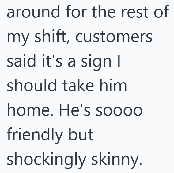 around for the rest of my shift, customers said it's a sign I should take him home. He's soooo friendly but shockingly skinny.
