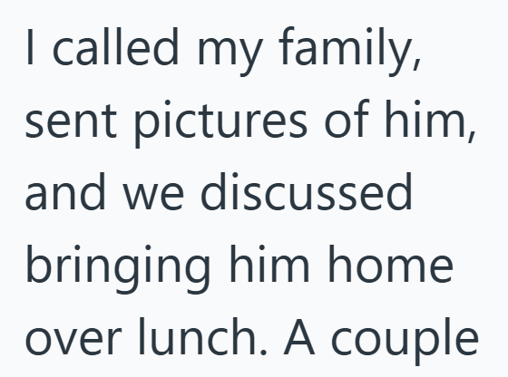 I called my family, sent pictures of him, and we discussed bringing him home over lunch. A couple