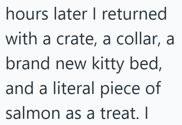 hours later I returned with a crate, a collar, a brand new kitty bed, and a literal piece of salmon as a treat. I