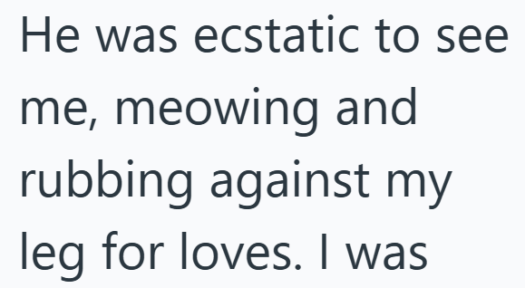 He was ecstatic to see me, meowing and rubbing against my leg for loves. I was