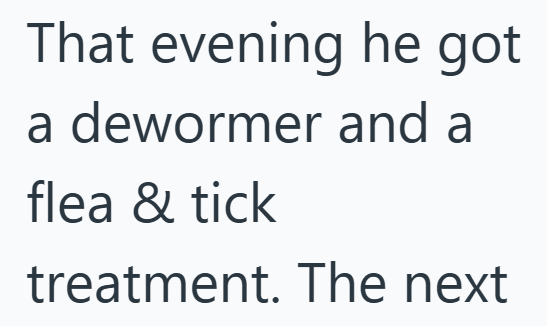 That evening he got a dewormer and a flea & tick treatment. The next
