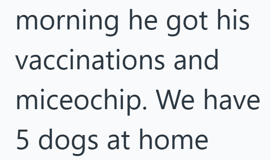 morning he got his vaccinations and miceochip. We have 5 dogs at home