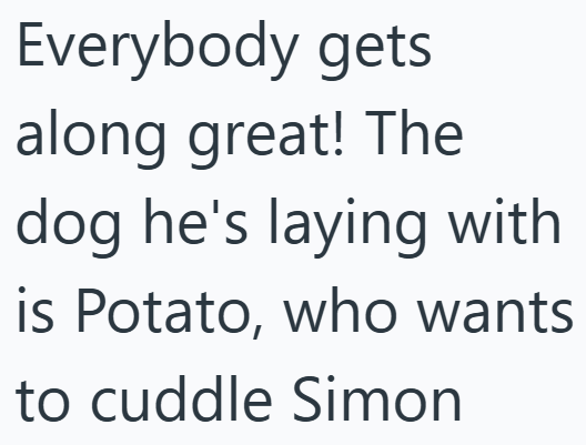 Everybody gets along great! The dog he's laying with is Potato, who wants to cuddle Simon