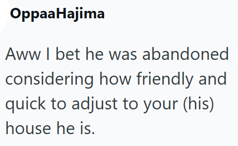Oppaa Hajima Aww I bet he was abandoned considering how friendly and quick to adjust to your (his) house he is.