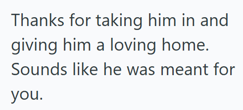 Thanks for taking him in and giving him a loving home. Sounds like he was meant for you.